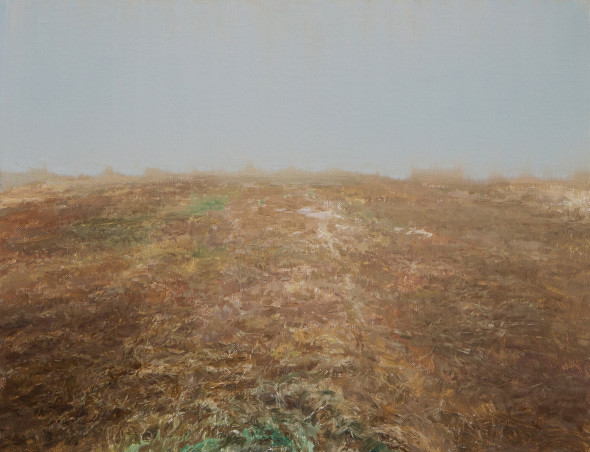 Luca Conca, Il velo dipinto III-2016-olio su tela-35x45cm