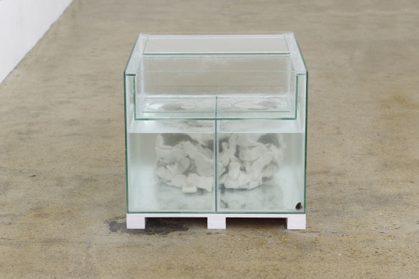 Bruno Botella, Prognosticator, 2017 vetro, acqua, plastilina naturale, sanguisughe / glass, water, natural plastiline, leeches, 50×65×55 cm