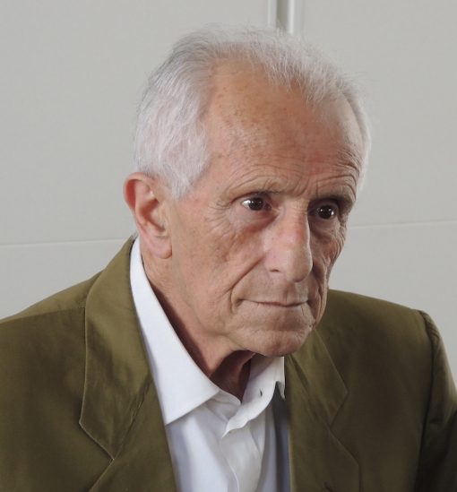 tino-stefanoni-510x549