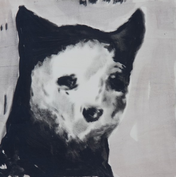 andrea-saltini-piratello-illustrazione-per-ritual-de-lo-habitual-fermoeditore-parma-2017-courtesy-magnificat-ars-societas-ph-andrea-tasselli