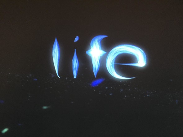 NEW PERSPECTIVE TRIENNALE