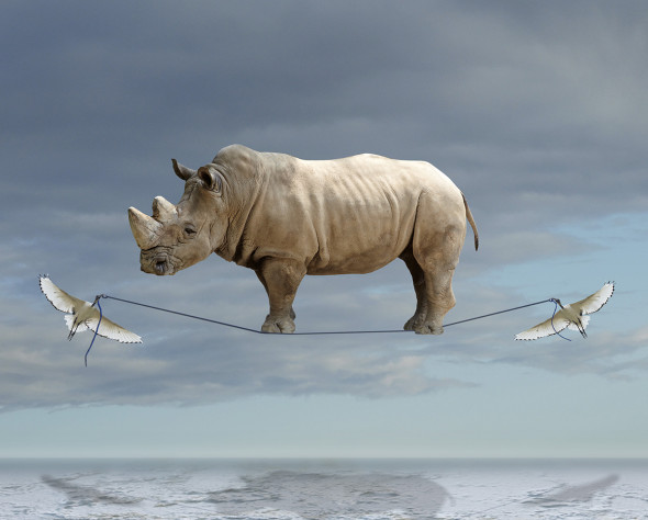 In mostra a Massa gli scatti surrealisti di Bart Herreman