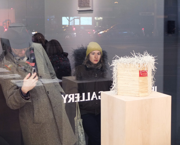 Le "metamorfosi" di Jukhee Kwon incantano New York