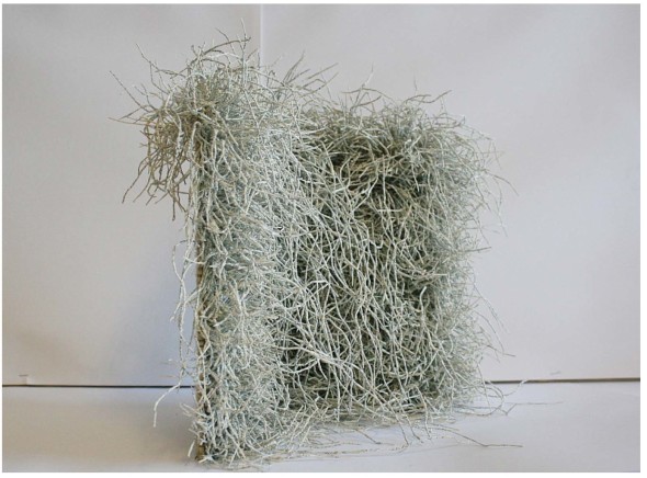 Le "metamorfosi" di Jukhee Kwon incantano New York