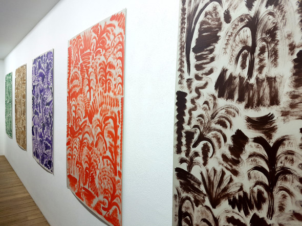 Stefano Pedrini (Into the wild)