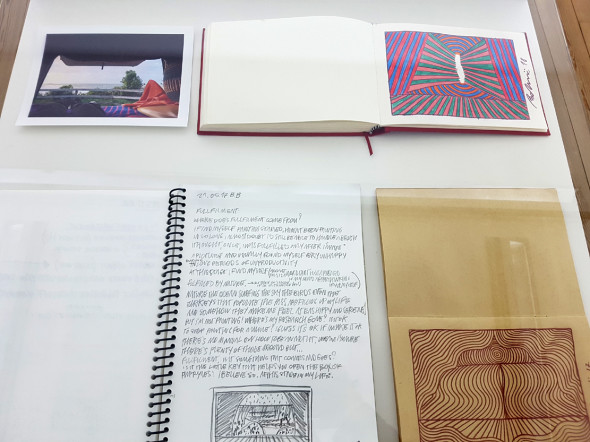 Stefano Pedrini (Into the wild)