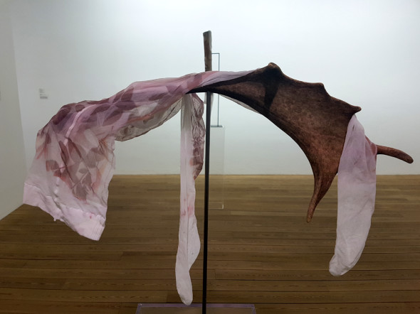 Luca Trevisani, Il secco e l'umido