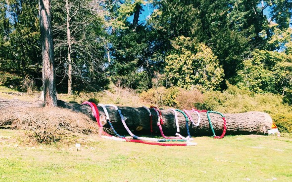 Giovanni Frangi, Urplflanze - Villa Carlotta Tremezzina (Como) | foto ArtsLife