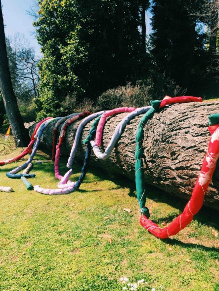 Giovanni Frangi, Urplflanze - Villa Carlotta Tremezzina (Como) | foto ArtsLife