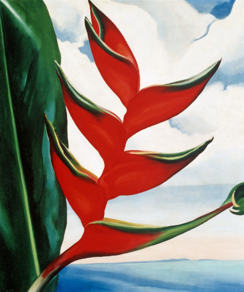 Georgia O’Keeffe, Heliconia, Crab’s Claw Ginger (1939). Courtesy of Sharon Twigg-Smith, © 2018 Georgia O’Keeffe Museum/Artists Rights Society (ARS), New York.