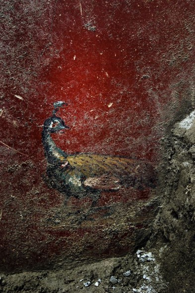 Parco Archeologico di Pompei - Domus dei Delfini Foto di Sergio Siano