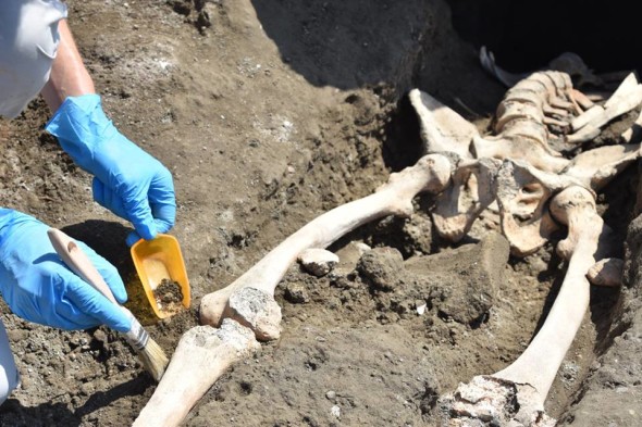 scheletro ritrovato a Pompei
