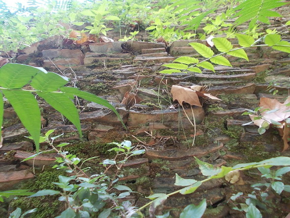 Monte_Testaccio_Particolare