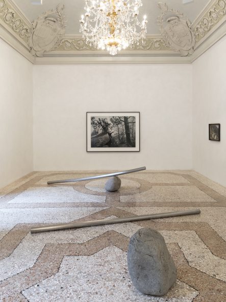 Nature Knows No Pause Installation views Massimo De Carlo, Milan-Belgioioso, 2018 Photo by Roberto Marossi Courtesy Massimo De Carlo, Milan/London/Hong Kong
