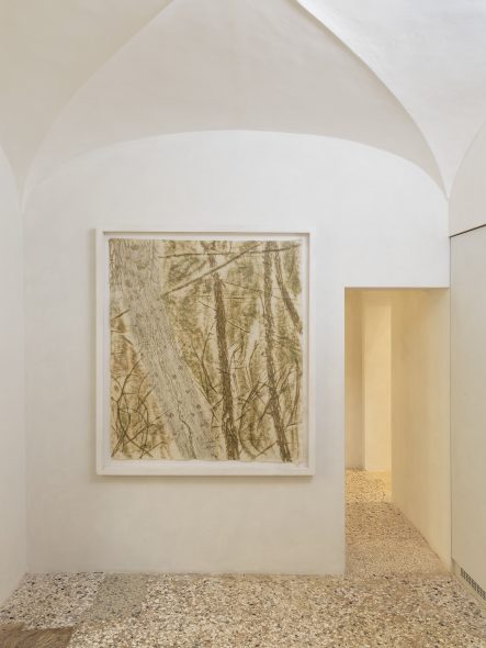 Nature Knows No Pause Installation views Massimo De Carlo, Milan-Belgioioso, 2018 Photo by Roberto Marossi Courtesy Massimo De Carlo, Milan/London/Hong Kong