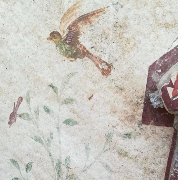 Pitture murarie a Pompei raffiguranti un uccellino