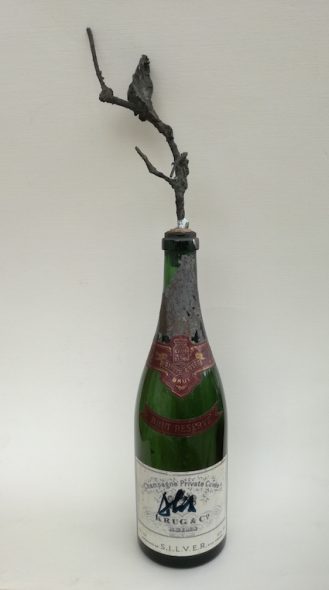 Cavaliere; senza titolo; Novecento