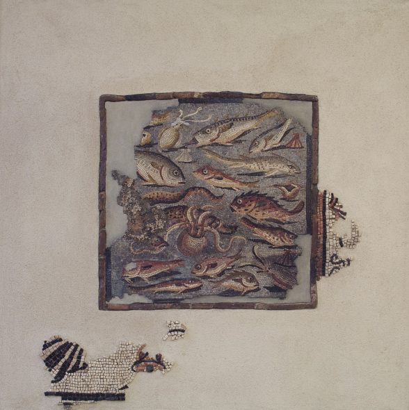 Mosaico con raffigurazione di pesci