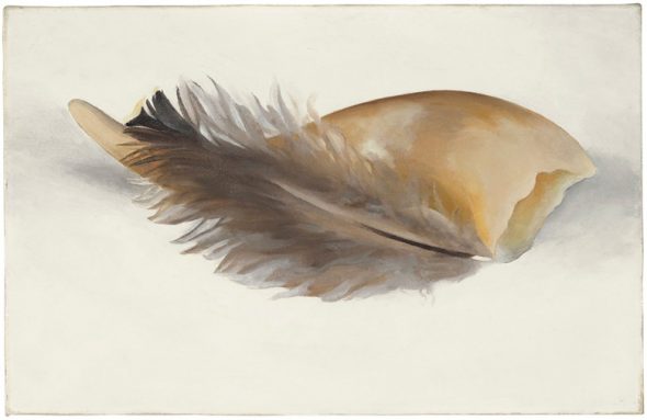 Georgia O'Keeffe (1887-1986), Horn and Feather, painted in 1937. Oil on canvas. 9 x 14 in (22.9 x 35.6 cm). 