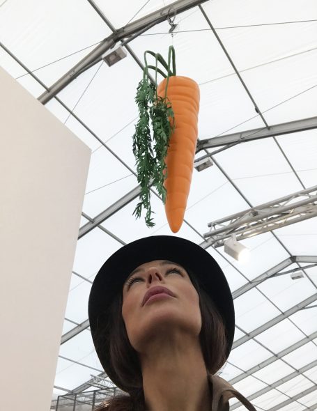 3 #SELFIEADARTE "L'ortaggio di Damocle” #JohnBaldessari (fake carrot) 2016, Marian Goodman Gallery - NY @FriezeArtFair #London @CleliaPatella