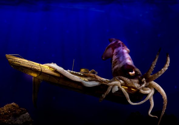 Vingt mille lieues sous les mere 2017, 2017; Arturo Delle Donne; Racconti di mare