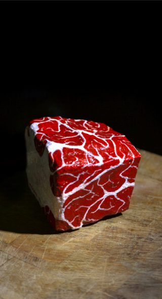 un pezzo di carne rappresentato dall'artista mauro sgarbi