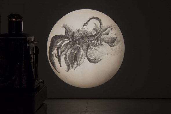 Gli Impresari, Il lanternista, Performance, foto di Daniele Alef Grillo, courtesy gli artisti e Associazione Culturale Dello Scompiglio