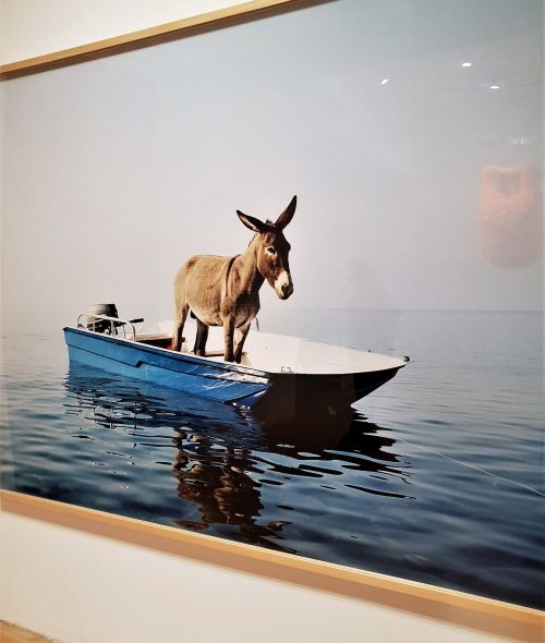 Paola Pivi, The Bass Miami, Foto Artslife