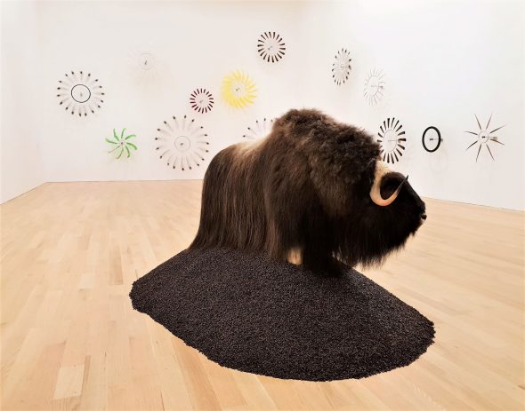 Paola Pivi, The Bass Miami, Foto Artslife