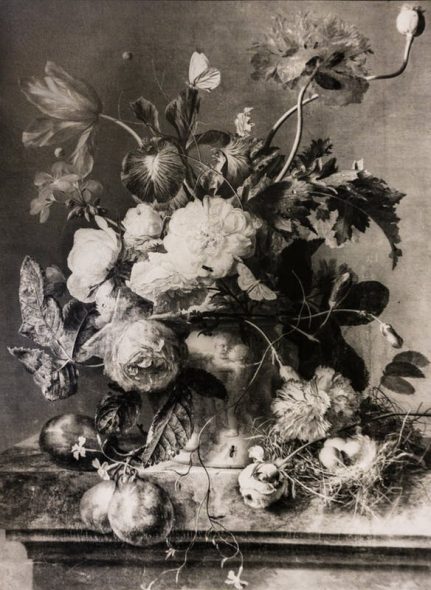 La riproduzione in bianco e nero del Vaso di Fiori di van Huysum