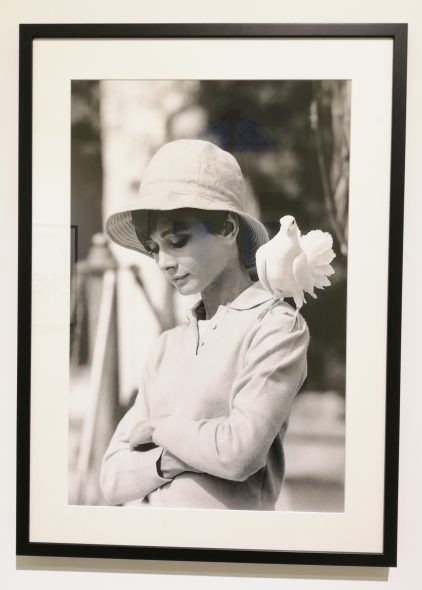 Terry O'Neill. Audrey Hepburn