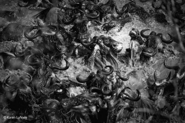 'Dantes Inferno' by Karen Lunney