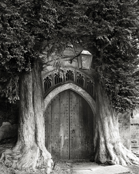 THE SENTINELS OF ST. EDWARDS by Beth Moon