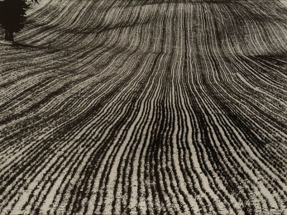 Mario Giacomelli, Paesaggio, 1983 Stampa in bianconero ai sali d’argento su carta baritata 70 x 97,5 cm € 15.000 - 18.000           