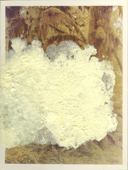 Franco Guerzoni, Dentro l'immagine, 1975, polvere di zolfo su fotografia originale, cm 18x24