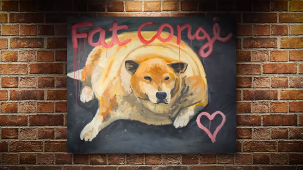 fat-corgie