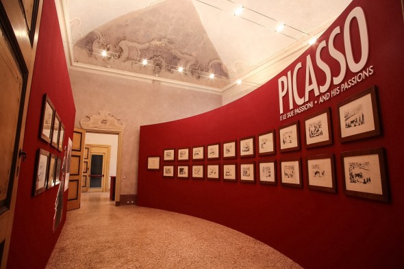 Allestimento mostra Picasso Pavia