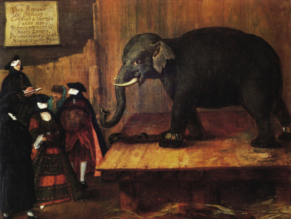 Pietro Longhi (Venezia, 1701 – 1785) - L’elefante, 1774 - olio su tela 50,1x62 cm