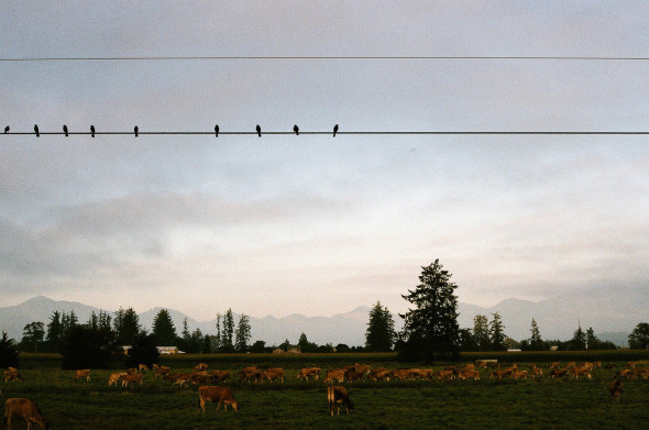 American Wanderlust-WEST Countryside, Oregon, 2013