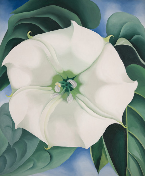 Georgia O'Keeffe, Jimson Weed, White Flower No. 1, 1932, olio su tela