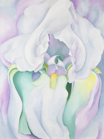 Georgia O'Keeffe, White Iris, 1930, olio su tela