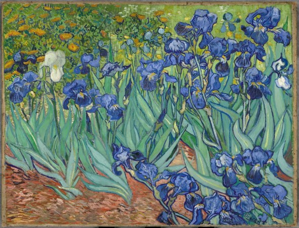 V.Van Gogh, Iris 1889