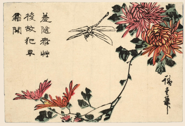 Utagawa Hiroshige “Libellula e crisantemi” (1837-1838 circa)  Silografia policroma, 11 x 16,4 cm - Honolulu Museum of Art