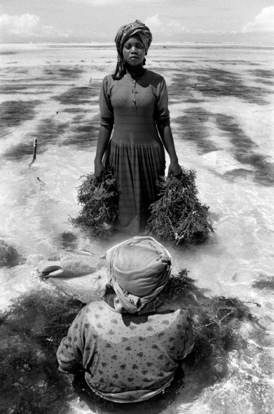 Le donne alghe - danilo de marco -  002 - Fotografo: danilo de marco