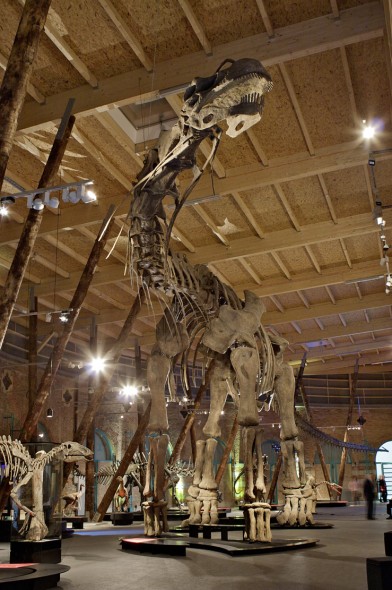Argentinosaurus huinculensis, scheletro completo, 500 x 3800 x 780 cm, Foto Claus Rammel
