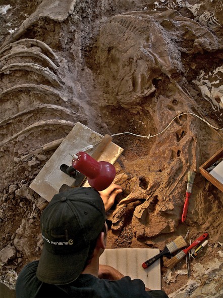Laboratorio del Museo Paleontológico Ernesto Bachmann, foto di Ariel Ludin