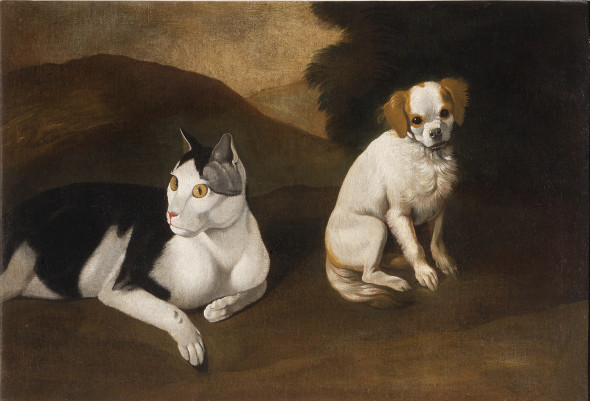 Sinibaldo SCORZA Gatto e cane DIPINTO Olio su tela cm 50,5 x 76 Collezione privata, discendenti di Sinibaldo Scorza
