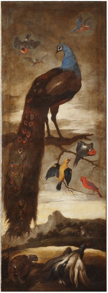 Sinibaldo SCORZA Albero con gande pavone e altri uccelli DIPINTO Olio su tela cm 224,5 x 80 NOVI LIGURE (AL), collezione privata