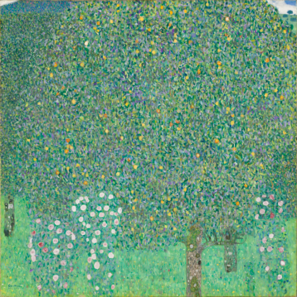 Gustav Klimt Rosiers sous les arbres, vers 1905 Huile sur toile, 110,2 x 110,2 cm Paris, musée d’Orsay, RF 1980-195 © Musée d'Orsay, Dist. RMN-Grand Palais / Patrice Schmidt