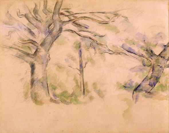 Paul Cézanne I Grandi alberi Pennello e acquerello su matita 47 x 58 cm Parigi, collezione Prat  Diritti riservati